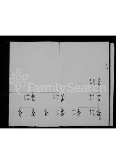 福建王氏族谱-太原郡王氏支谱.pdf电子版预览图5