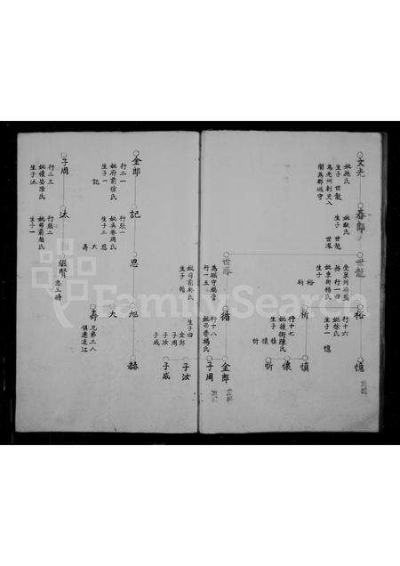 福建王氏族谱-许洋王氏族谱.pdf电子版预览图5