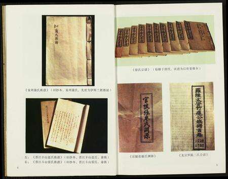 福建未知族谱-福建族谱.pdf电子版预览图5