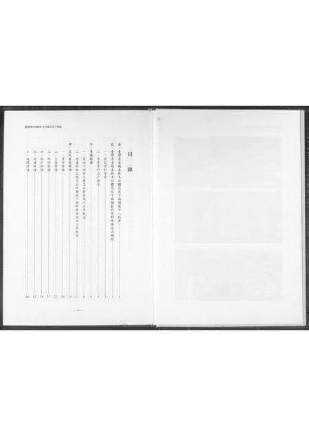 福建未知族谱-台湾清水埔姜林 王公国忍派下族谱.pdf电子版预览图5