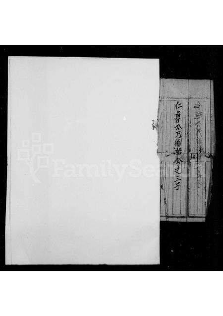 福建未知族谱-[石忠阳派下家谱].pdf电子版预览图5