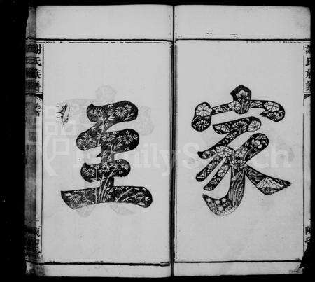 福建谢氏族谱-谢氏族谱 [38卷,及卷首].pdf电子版预览图5