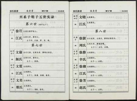 福建徐氏族谱-徐氏族谱.pdf电子版预览图5