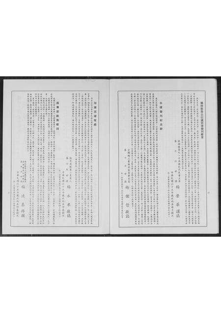 福建杨氏族谱-溪湖杨姓敦素公衍派大族谱.pdf电子版预览图5