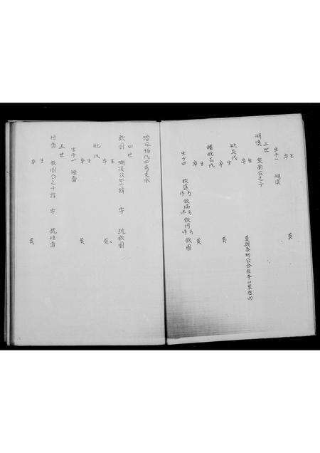 福建杨氏族谱-杨氏沧岑四房族谱.pdf电子版预览图5