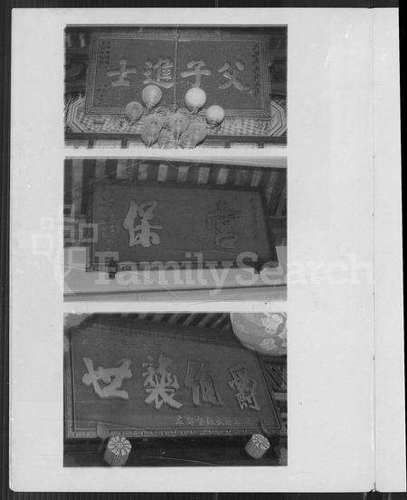 福建杨氏族谱-福建漳浦佛昙杨氏世隆衍系长,三房族谱.pdf电子版预览图5