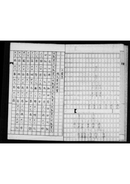 福建杨氏陈氏族谱-金门湖峰杨氏族谱金门水头陈氏渊源.pdf电子版预览图5