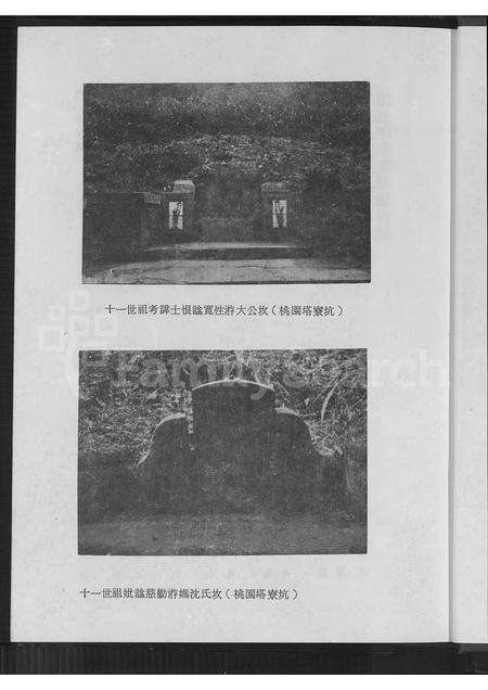 福建游氏族谱-游氏追远堂族谱.pdf电子版预览图5