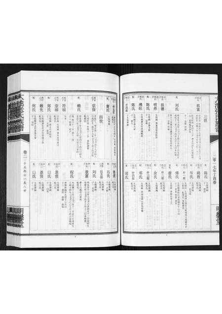 福建张氏族谱-大池张氏族谱[2卷].pdf电子版预览图5