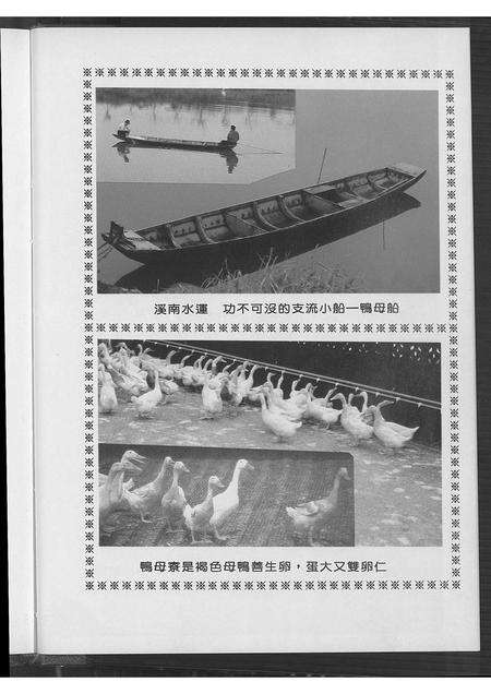 福建张氏族谱-张家族谱.pdf电子版预览图5