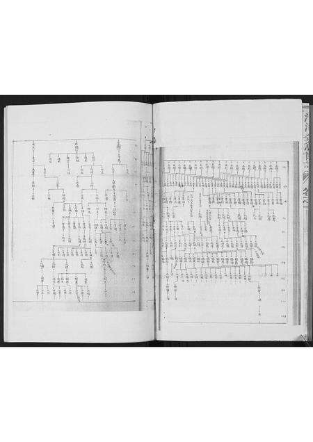 福建张氏族谱-[张氏]清河金鱼世谱.pdf电子版预览图5