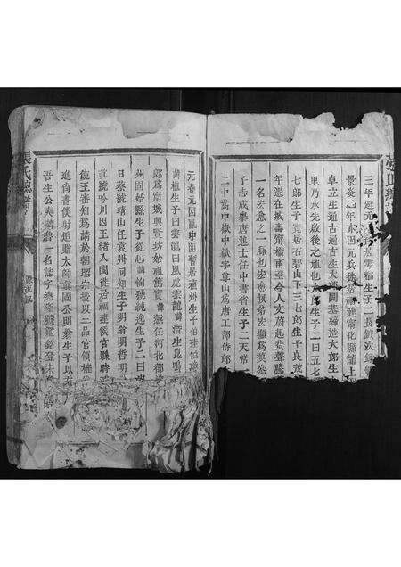 福建张氏族谱-张氏总谱.pdf电子版预览图5