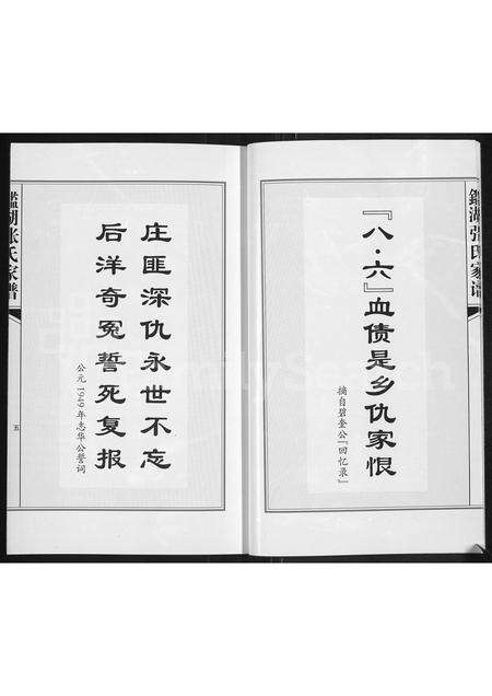 福建张氏族谱-鉴湖张氏家谱.pdf电子版预览图5