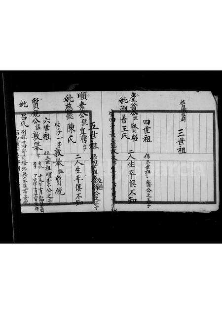 福建张氏族谱-龙屿张氏长分派三房三家谱.pdf电子版预览图5