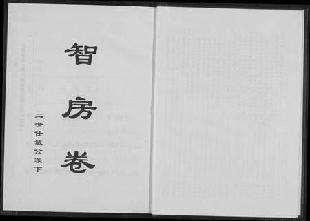 福建郭氏族谱-百奇郭氏回族宗谱.pdf电子版预览图5