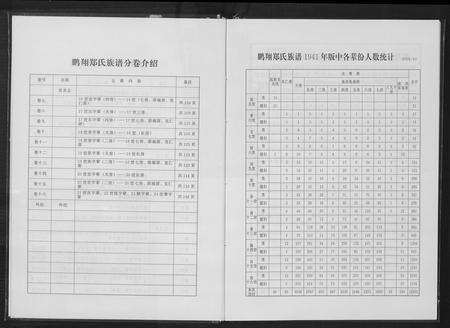 福建郑氏族谱-永春鹏翔郑氏族谱.pdf电子版预览图5