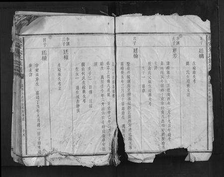 福建朱氏族谱-绥安朱氏族谱.pdf电子版预览图5