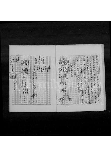 福建庄氏族谱-锦绣山天水堂庄氏族谱.pdf电子版预览图5