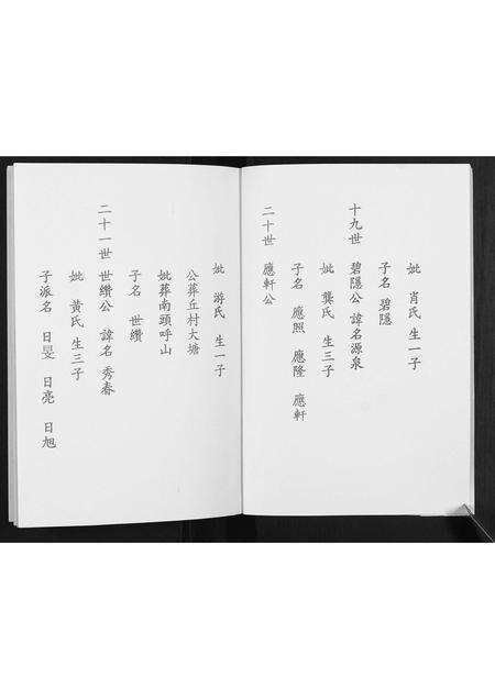 福建陈氏族谱-陈氏族谱.pdf电子版预览图5