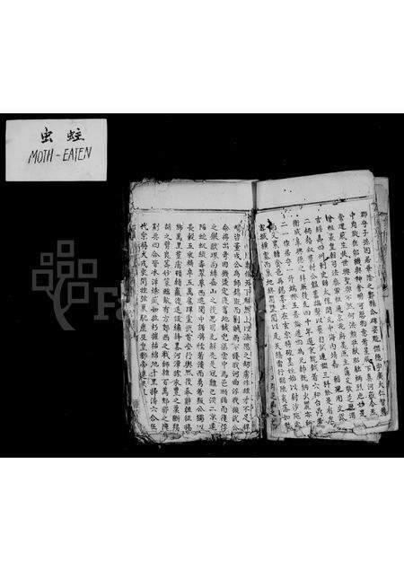 福建郭氏族谱-双阙郭氏族谱.pdf电子版预览图5