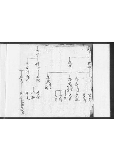 福建郭氏族谱-郭氏家谱.pdf电子版预览图5