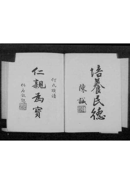 福建韩氏何氏蓝氏族谱-韩何蓝氏族谱.pdf电子版预览图5