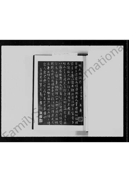 福建胡氏族谱-胡氏大族谱.pdf电子版预览图5