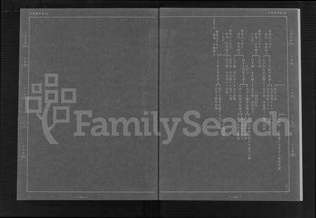 福建许氏族谱-金门珠浦许氏族谱蓝图 (三).pdf电子版预览图5