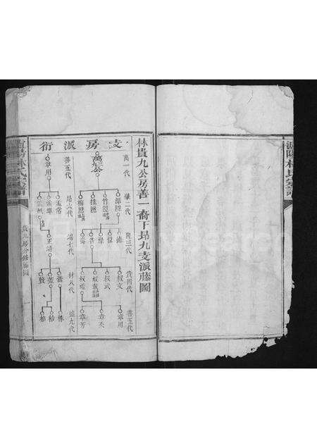 福建林氏族谱-泸阳林氏宗谱 [不分卷].pdf电子版预览图5