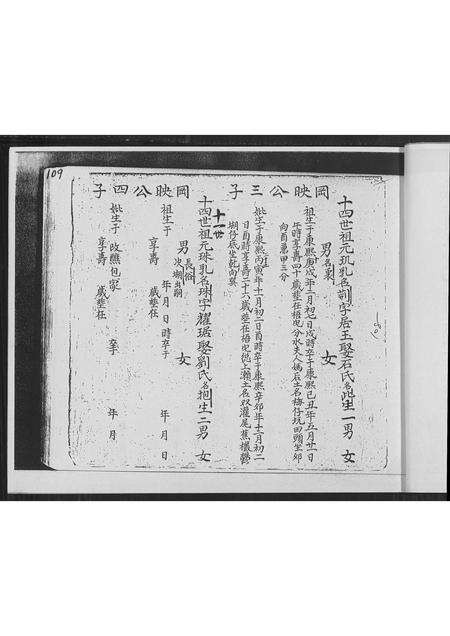 福建林氏族谱-南靖县正本复印林氏族谱 _ 顶次房弘仕公世系派 [不分卷].pdf电子版预览图5
