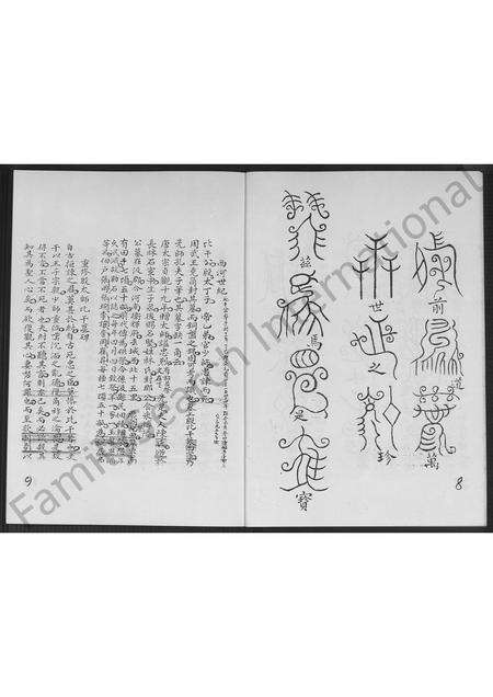 福建林氏族谱-福建省南靖县分支林氏族谱 [不分卷].pdf电子版预览图5