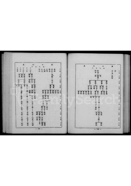 福建林氏族谱-林氏族谱 _ 金门.pdf电子版预览图5