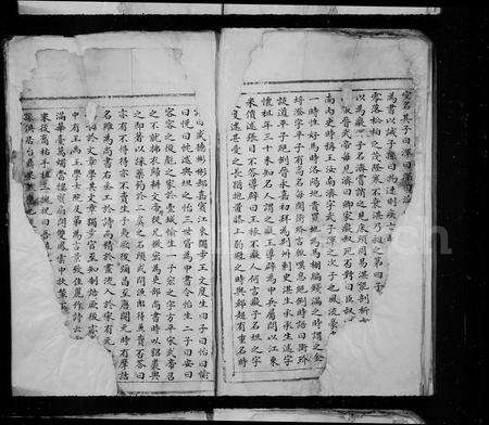 福建王氏族谱-太原王氏宗谱.pdf电子版预览图5