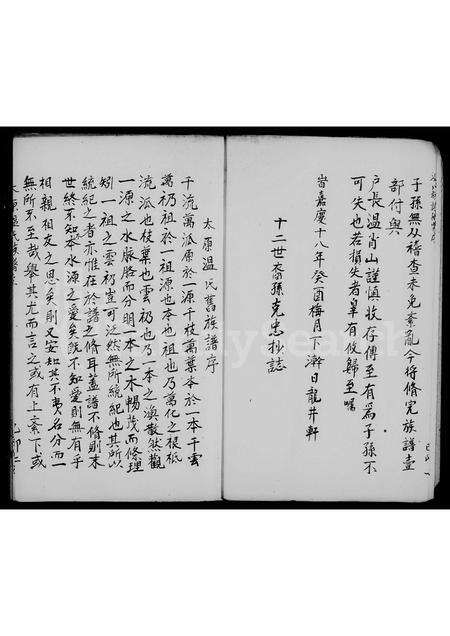 福建温氏族谱-龙溪太原温氏衍派温氏族谱.pdf电子版预览图5