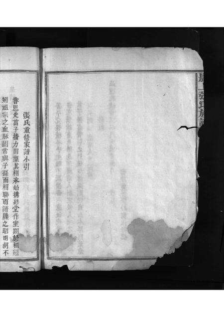 福建张氏族谱-巖上张氏族谱 [不分卷].pdf电子版预览图5