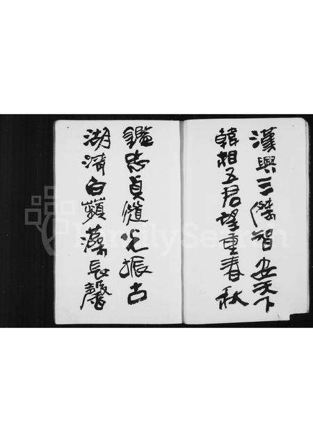 福建张氏族谱-鉴湖张氏族谱.pdf电子版预览图5