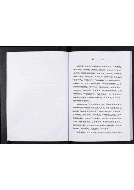 河南白氏族谱-白村白氏家谱.pdf电子版预览图5