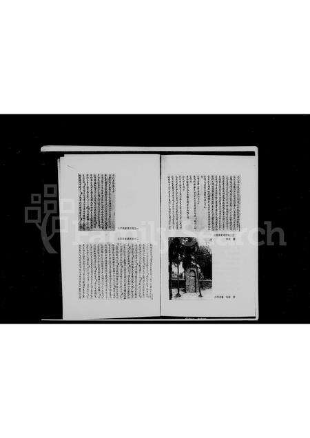 河南白氏族谱-白居易家谱.pdf电子版预览图5