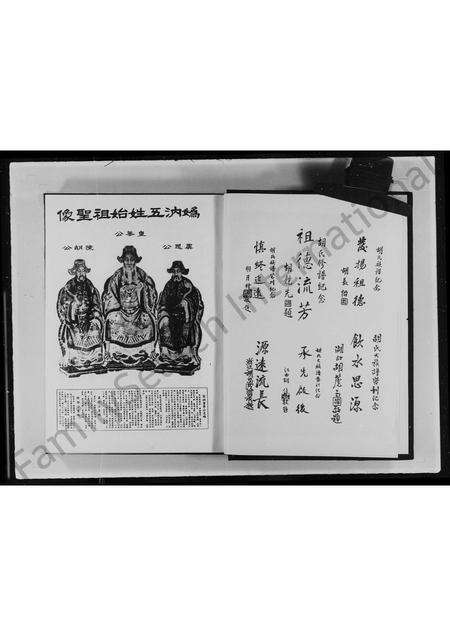 福建胡氏族谱-胡氏大族谱.pdf电子版预览图5