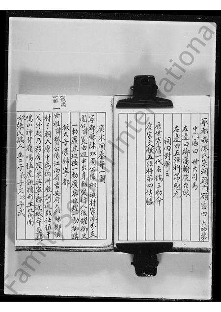 广东陈氏族谱-青衣洲陈氏族谱.pdf电子版预览图5