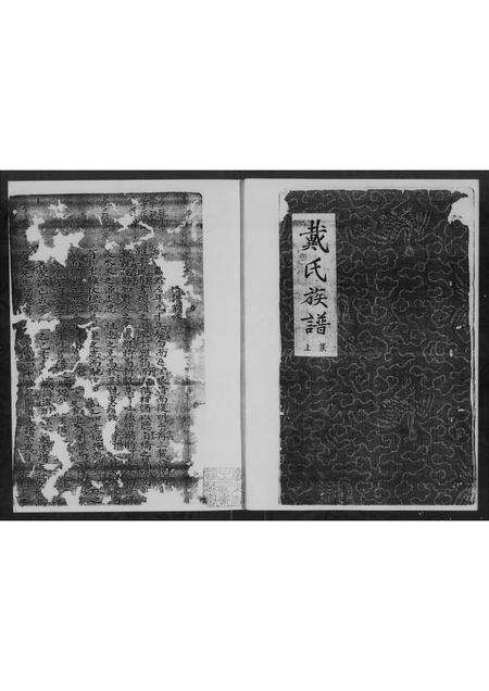 广东戴氏族谱-戴氏族谱 [上下集].pdf电子版预览图5