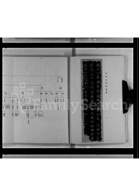 广东邓氏族谱-邓氏简谱.pdf电子版预览图5