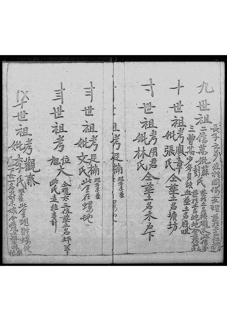 广东杜氏族谱-杜氏族谱.pdf电子版预览图5