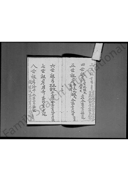 广东杜氏族谱-杜氏族谱.pdf电子版预览图5