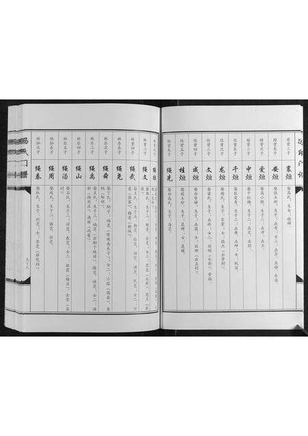 河南冯氏族谱-冯氏门谱[上下卷].pdf电子版预览图5