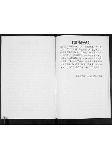 河南郭氏族谱-郭氏族谱[不分卷].pdf电子版预览图5