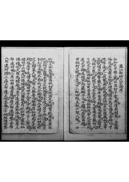 广东何氏族谱-[何氏]庐江郡宗谱.pdf电子版预览图5