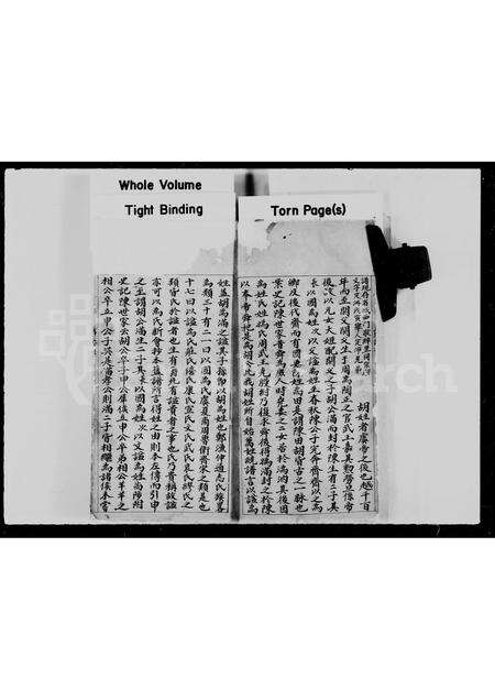 广东、福建胡氏族谱-胡氏族谱.pdf电子版预览图5