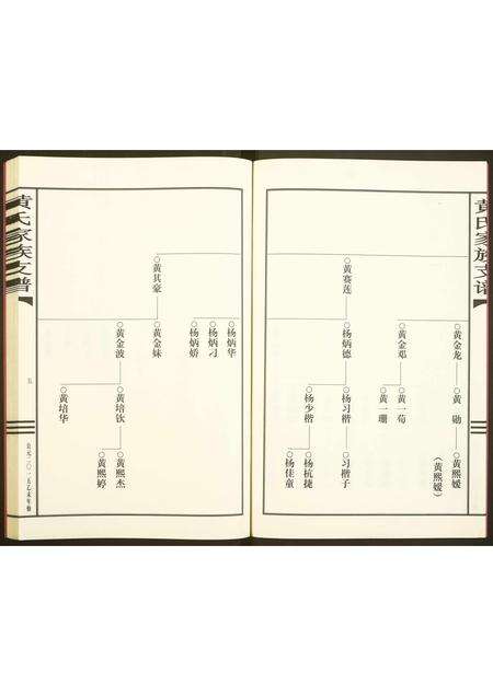 广东黄氏族谱-黄氏家谱支谱.pdf电子版预览图5