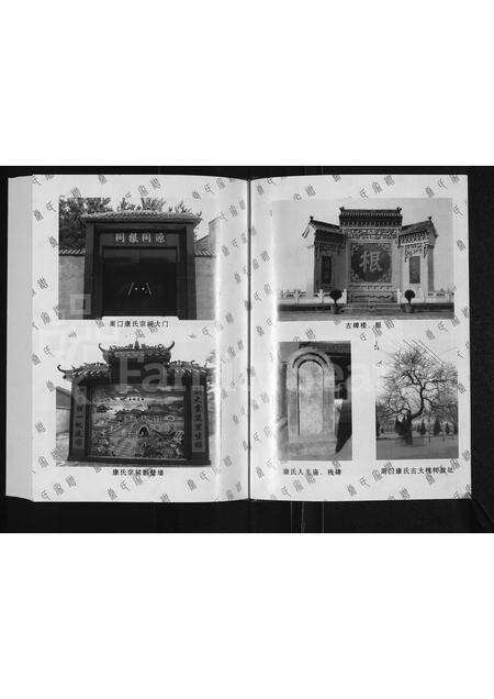 河南康氏族谱-康氏家谱.pdf电子版预览图5